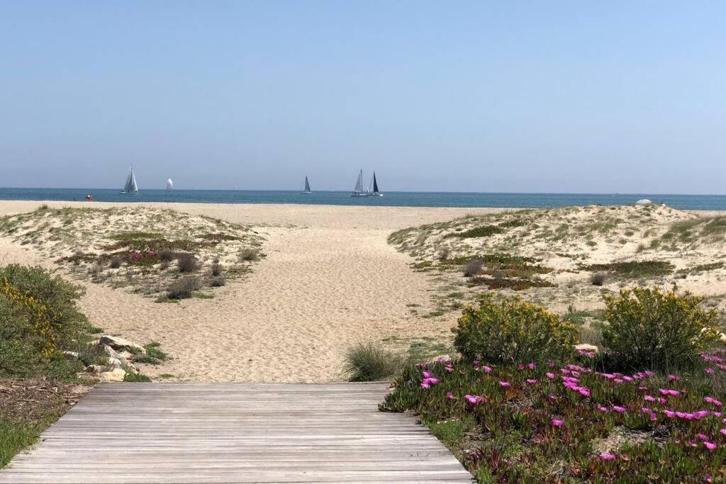 Barcaresa-La Perle Vue Mer Pieds Dans L'Eau Clim Wifi Leucate Esterno foto